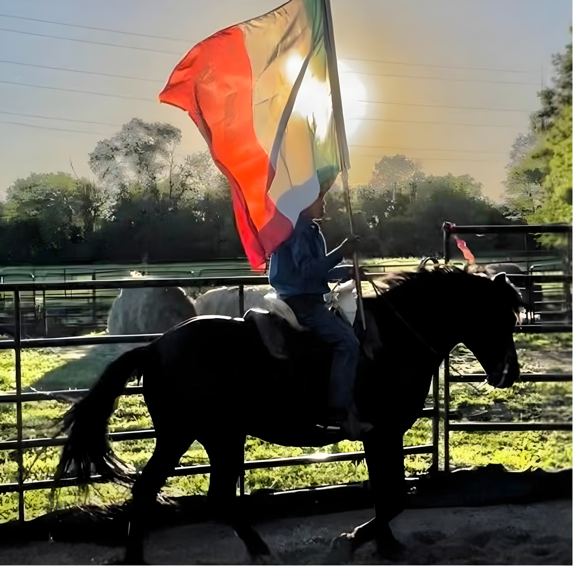 Escamilla riding a horse with a rope